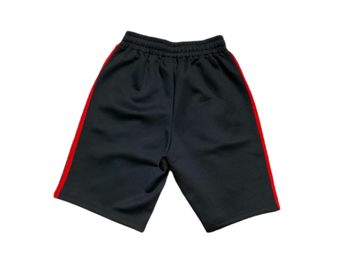 PALM – SHORTS