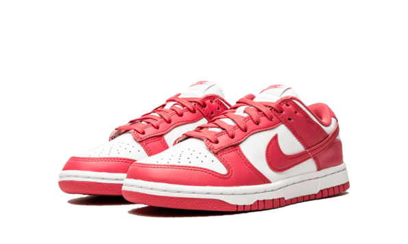 DUNK - LOW ARCHEO PINK