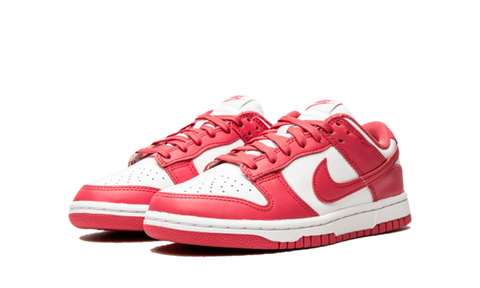 DUNK - LOW ARCHEO PINK