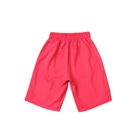 PALM – SHORTS